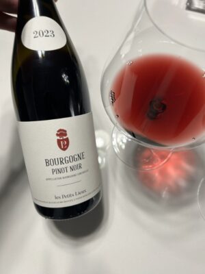 Bourgogne Pinot Noir , Les Petits Lieux, AOC Bourgogne 2024